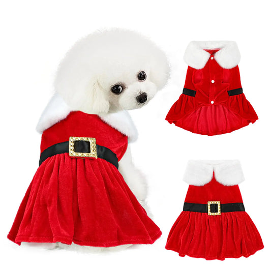 Vestido Navideño para Perros – Edición Velvet Santa 🎅✨